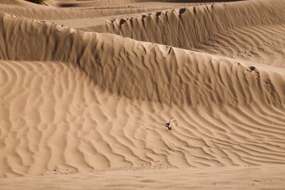 Sahara #2, Morocco 2007