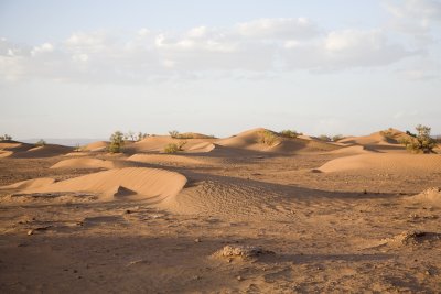 Sahara, desert Morocco 2007