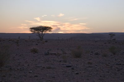 Desert dawn, Morocco 2007