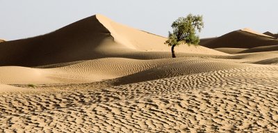 Desert, Morocco 2007