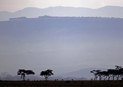 Crescent Island, Kenya 2005