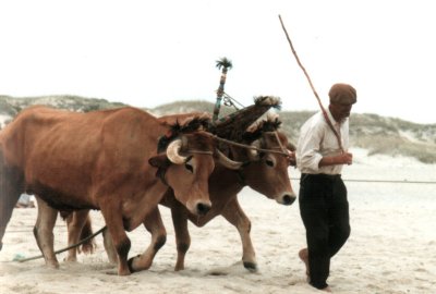 Portugal fisherman, 1996