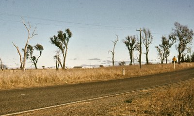 Australia 1976