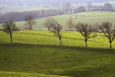 Limburg Netherlands 2006