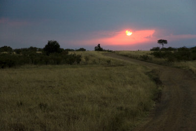 Masai Mara wild reserve, Kenya 2005