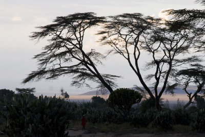 Loita hills, Kenya 2005