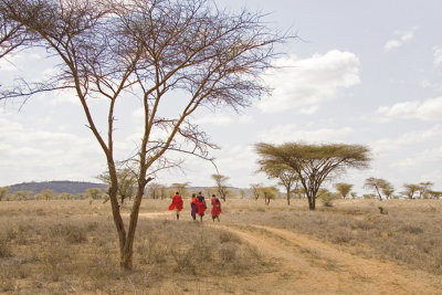 Samburu warriors, Kenya 2005 (SOLD)