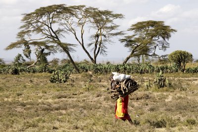 Women's load, Kenya 2005