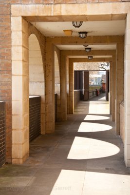 Arches and Shadows
