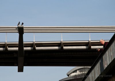 At the Millenium Bridge