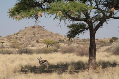 Namibia 2007