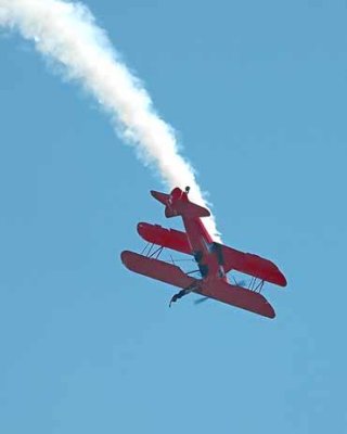 Wing Walker