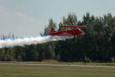 Wing Walker