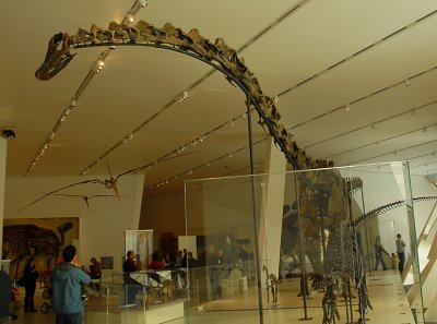 At the ROM