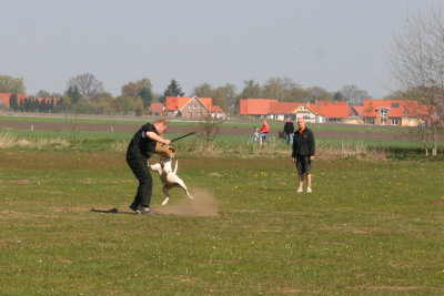 Germany_20100425_083_FeddeKing.jpg