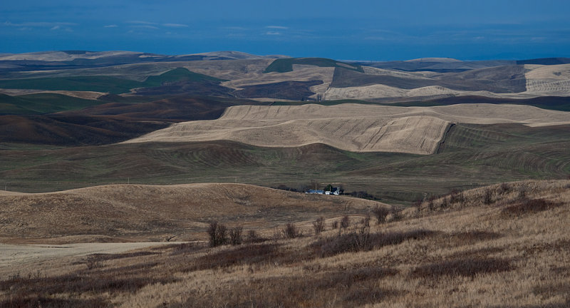 DSC_4845a.jpg