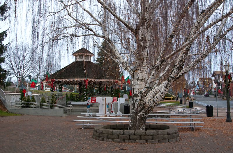 DSC_4864a.jpg