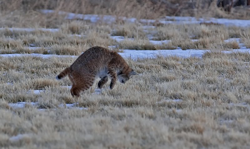 DSC_5983a.jpg