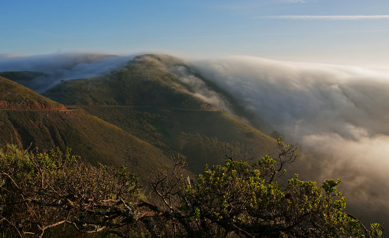 DSC_7227a.jpg