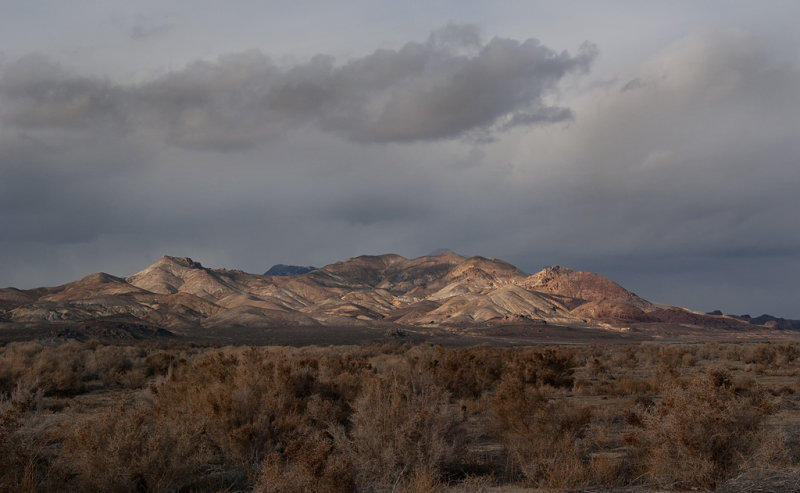 DSC_7778a.jpg