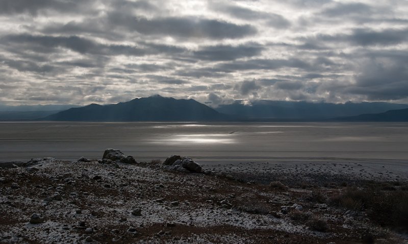 DSC_7868a.jpg