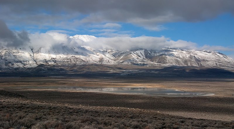 DSC_7900a.jpg