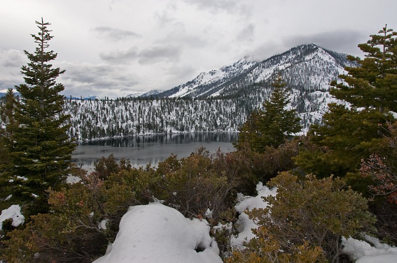 DSC_8287a.jpg
