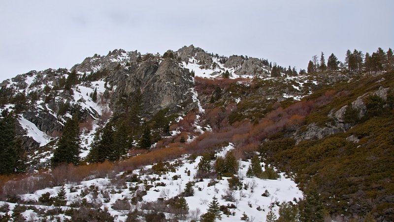 DSC_8316a.jpg