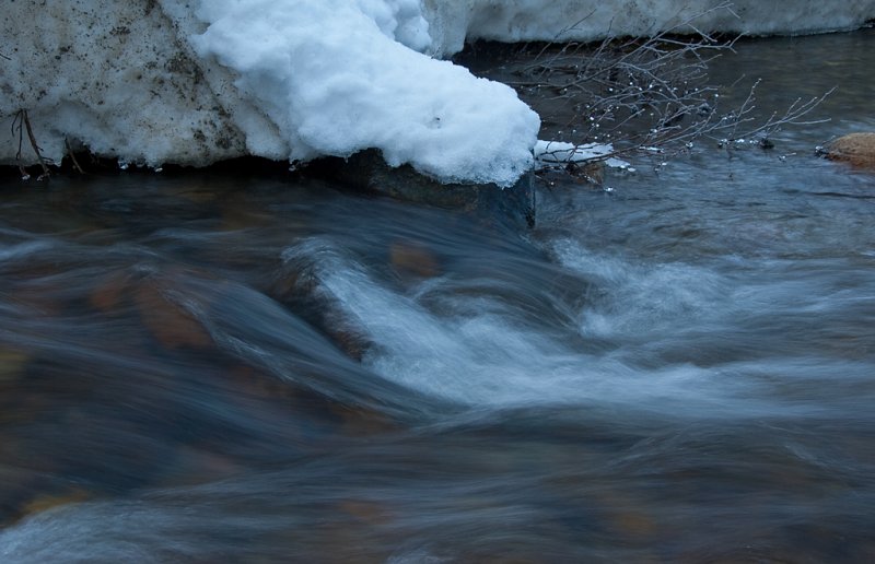 DSC_8443a.jpg