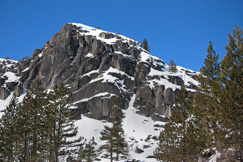 DSC_8574c.jpg