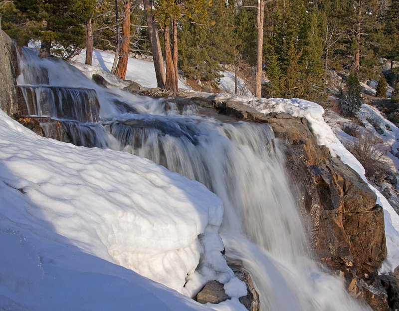 DSC_9609a.jpg