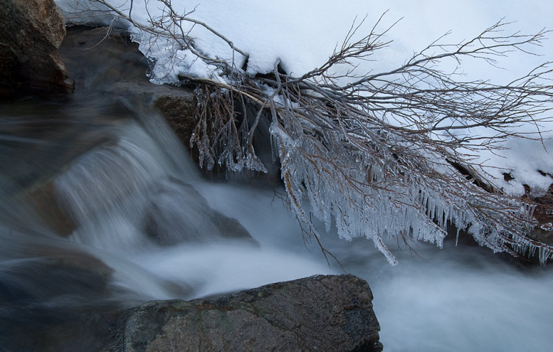 DSC_9819a.jpg