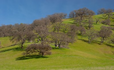 DSC_7373a.jpg
