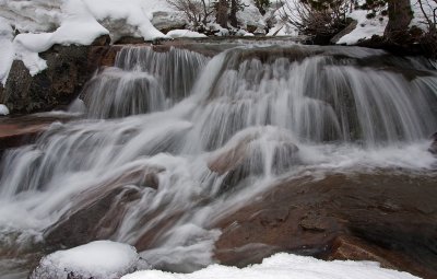DSC_8255a.jpg