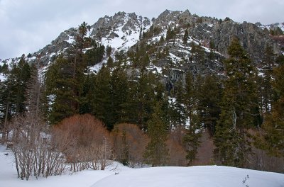 DSC_8275a.jpg