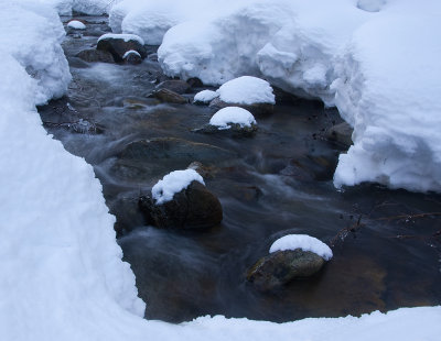 DSC_8466a.jpg