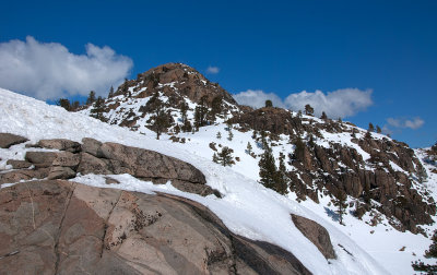DSC_8595a.jpg