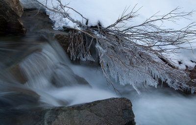 DSC_9819a.jpg