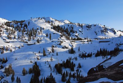 DSC_9917a.jpg