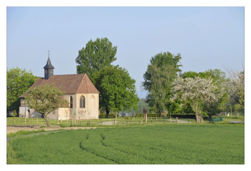au printemps - in spring
