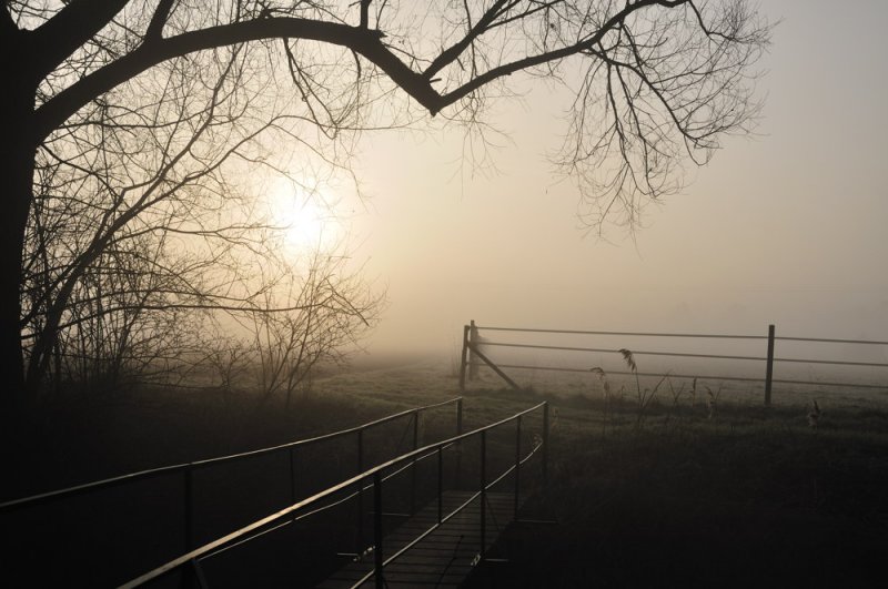 le petit pont