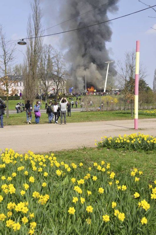 spring