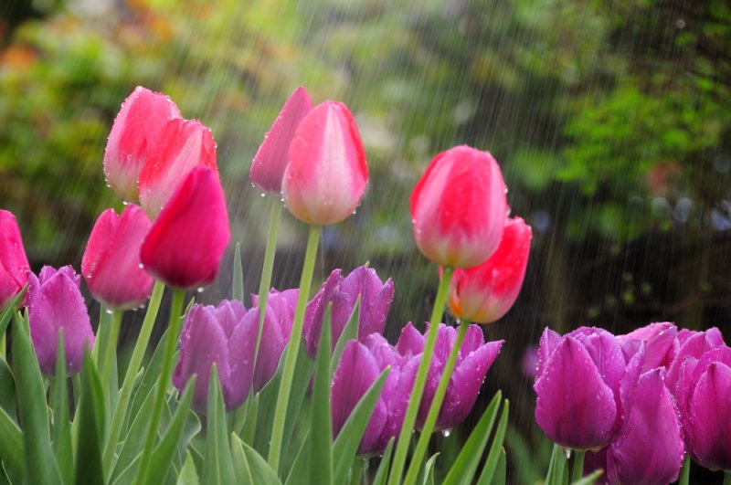 rainy day #2