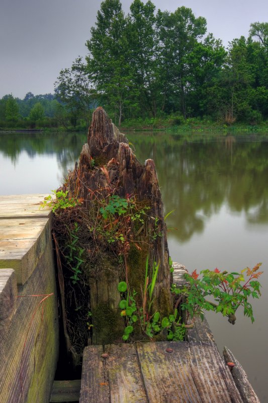 dock post.jpg