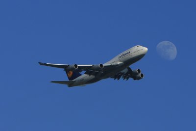 fly me to the moon