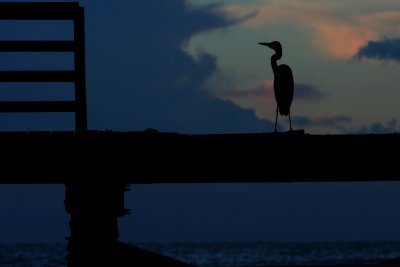 freeport pier