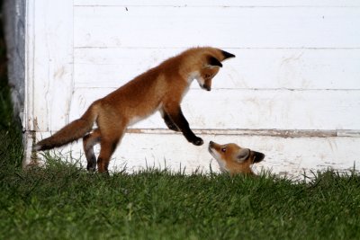 Gotcha!