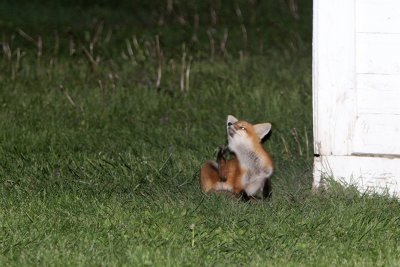 Got an itch