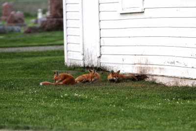 Must have been exhausting