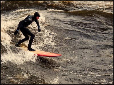 Surf tardif/Late Surfing